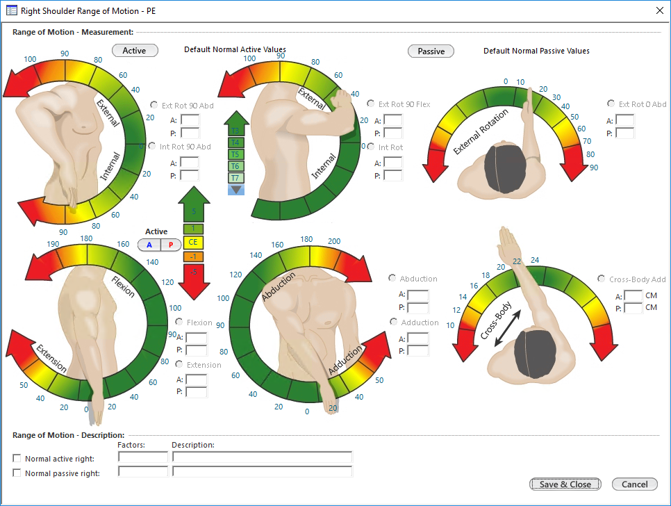Right/Left Shoulder Range of Motion - PE
