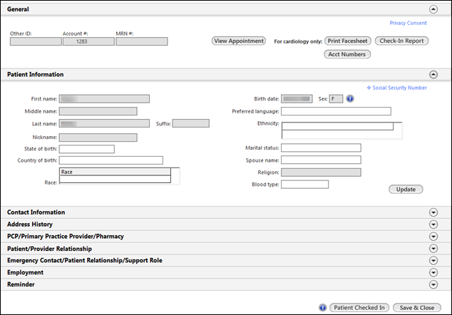 Patient Information panel on the Patient Demographics template