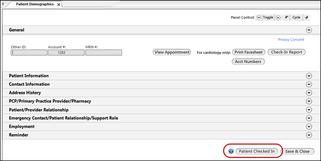 Patient Demographics template