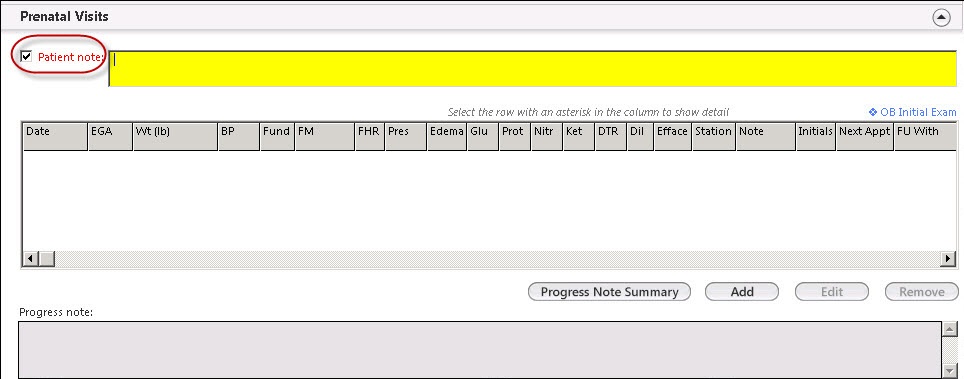 Patient note on Prenatal Visits panel