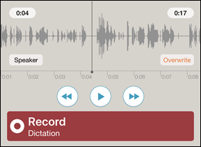 Overwritten dictation view
