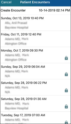Patient Encounters View