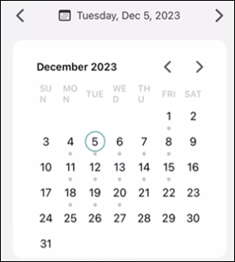 Calendar view