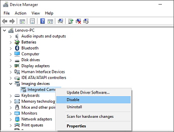 Device Manager window settings for Integrated devices