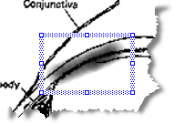 move and resize the annotation