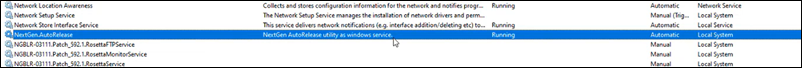 NextGen Auto Release Windows Service