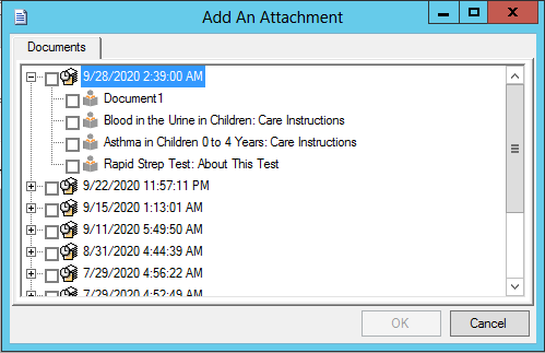 Expanding the encounter date on the Add An Attachment window reveals the available documents