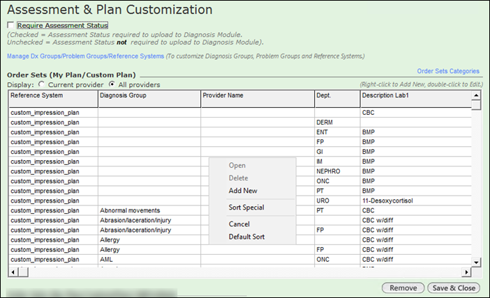 Assessment and Plan Customization window