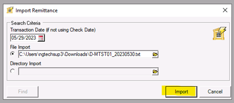 Image of the Import Remittance window with a selected file ready to import.